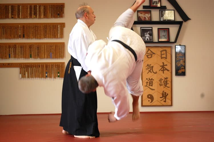 Daito-Ryu Jujutsu, Japanese Martial Art